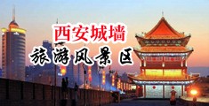小骚屄欠插无码视频中国陕西-西安城墙旅游风景区