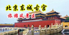 扒开美女毛茸茸黑逼操逼视频中国北京-东城古宫旅游风景区